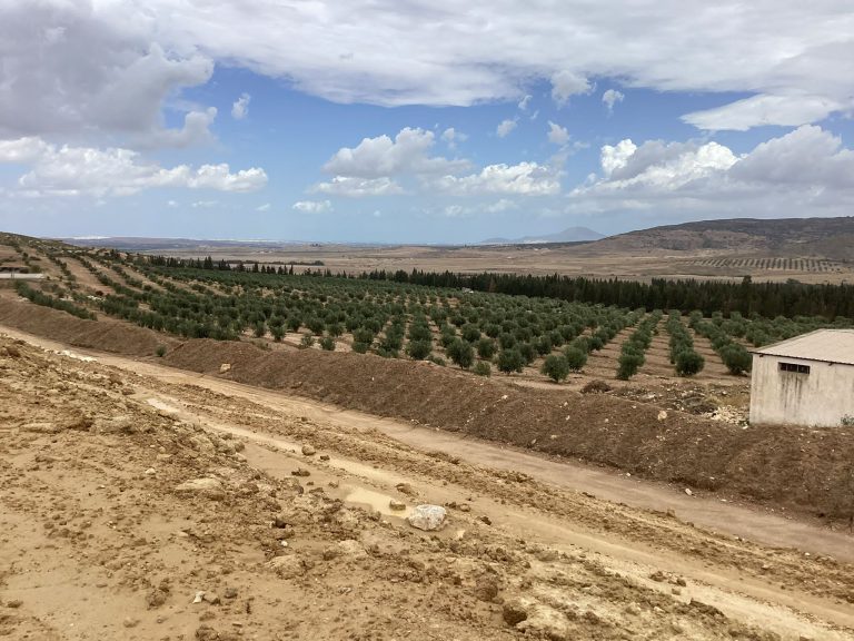 Terrain agricole