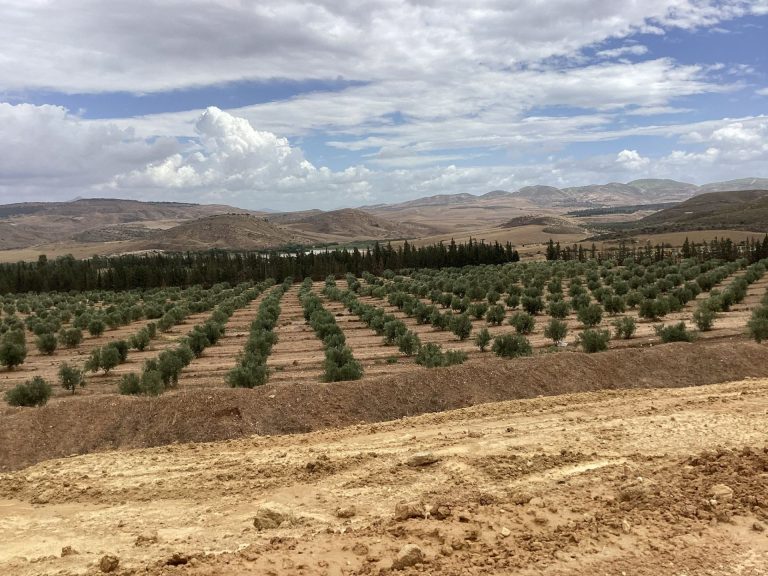 Terrain agricole