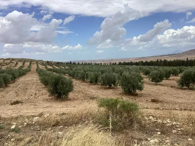 Terrain agricole