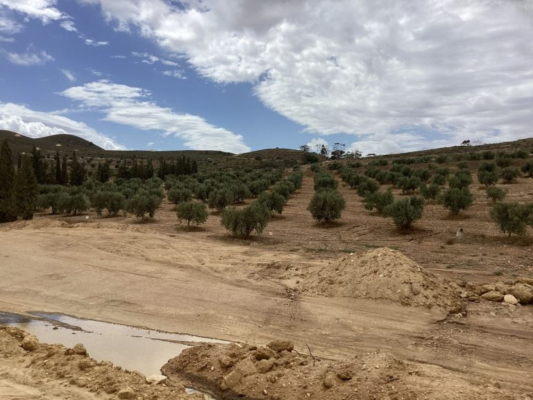 Terrain agricole dans le gouvernorat de ben arous