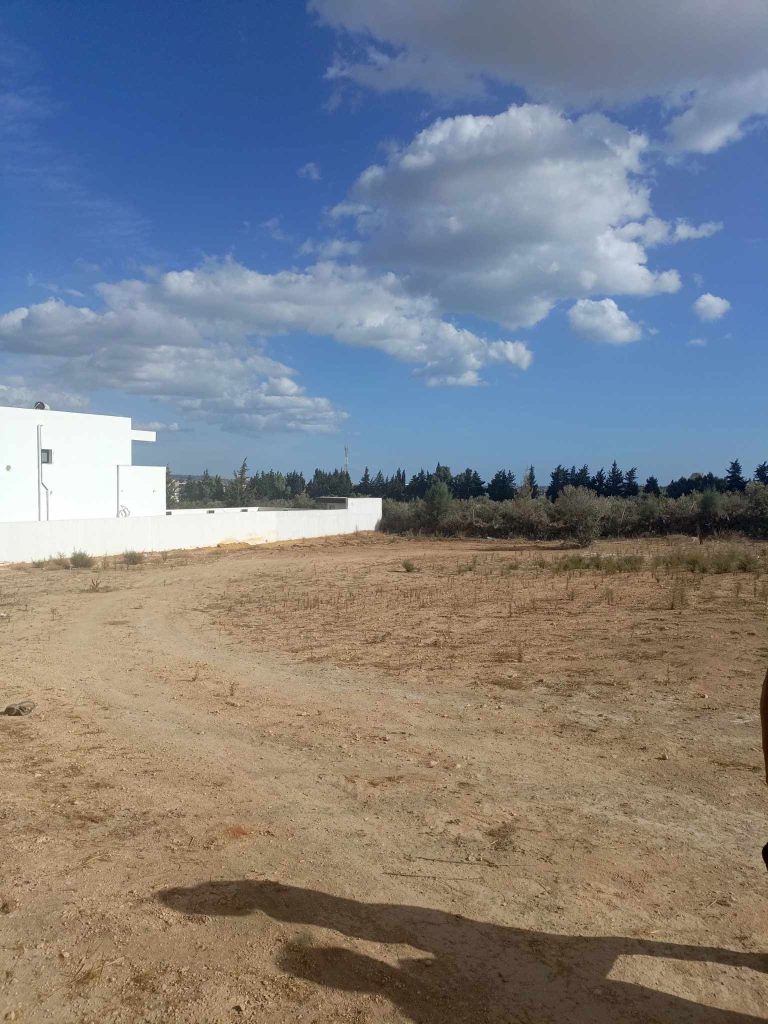 Av terrain de 600m &agrave; hammamet sud