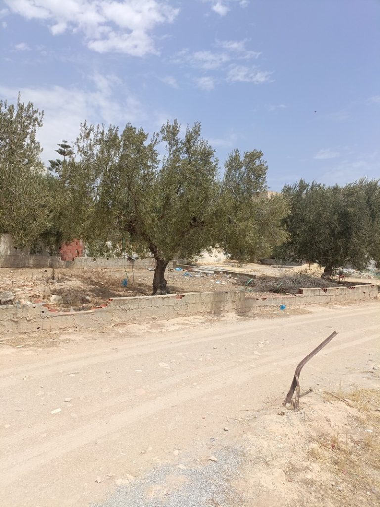 Av terrain 200m à hammamet sud