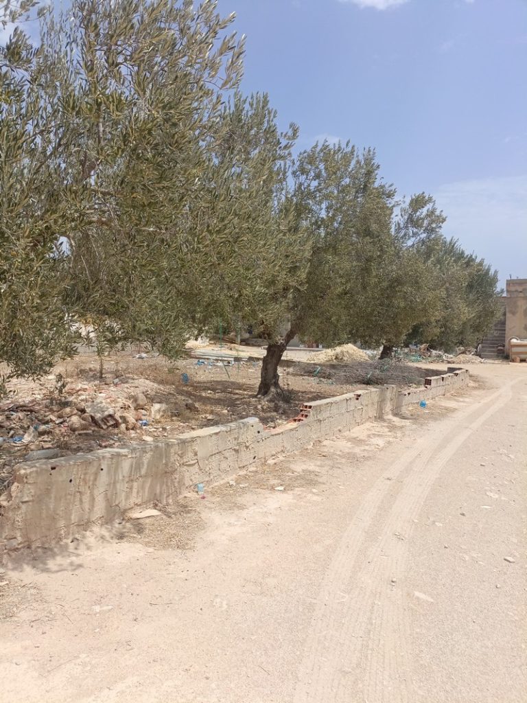 Av terrain 200m à hammamet sud