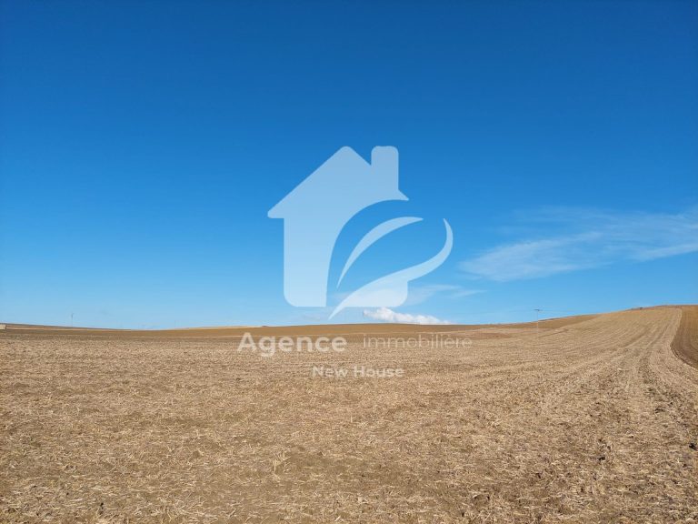 Terrain agricole