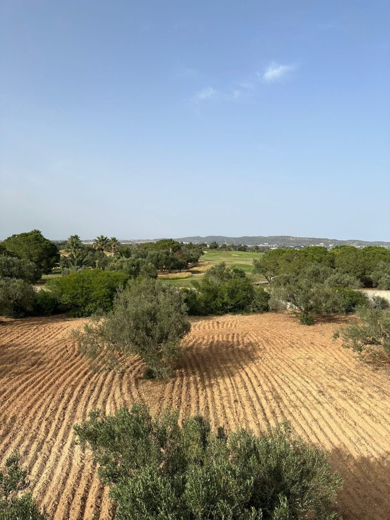 Terrain acote de terrain de golf citrus