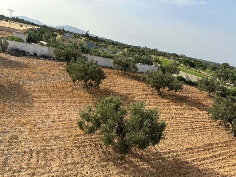 Terrain acote de terrain de golf citrus