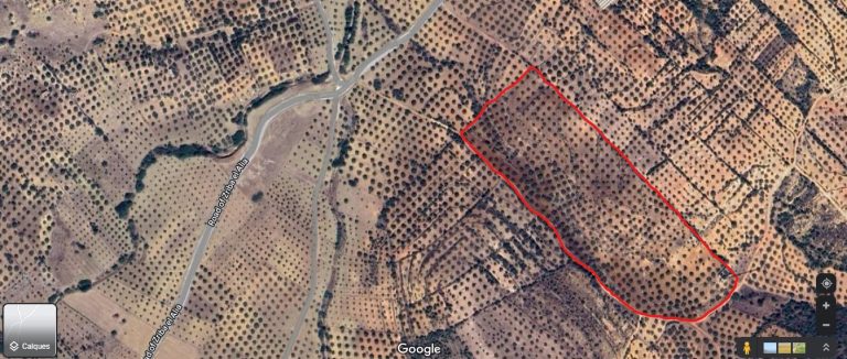 Terrain agricole &agrave; zriba zaghouan
