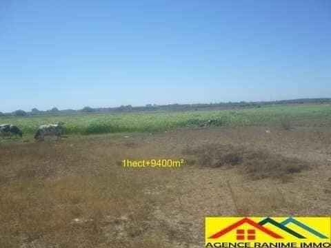 Terrain agricole de 1h et 9400m2 a el haouaria