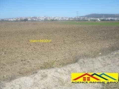 Terrain agricole de 1h et 9400m2 a el haouaria