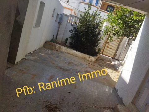 Maison arabi et studio dans 180m2 a el haouaria