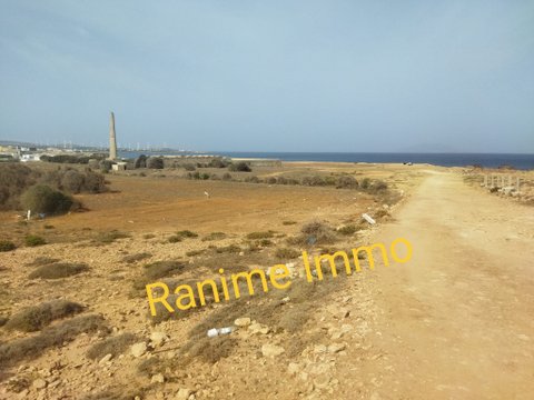 Terrain de 500m2 a la mer el haouaria cap bon