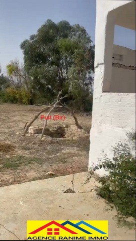 Terrain agricole de 1494m2 a el haouaria cap bon