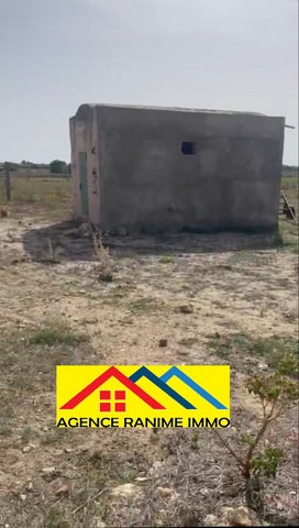 Terrain agricole de 1494m2 a el haouaria cap bon