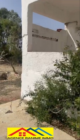 Terrain agricole de 1494m2 a el haouaria cap bon