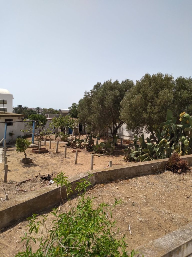 &Agrave; sidi ali maki