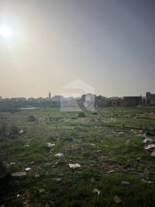 A un terrain situ cit ref631a