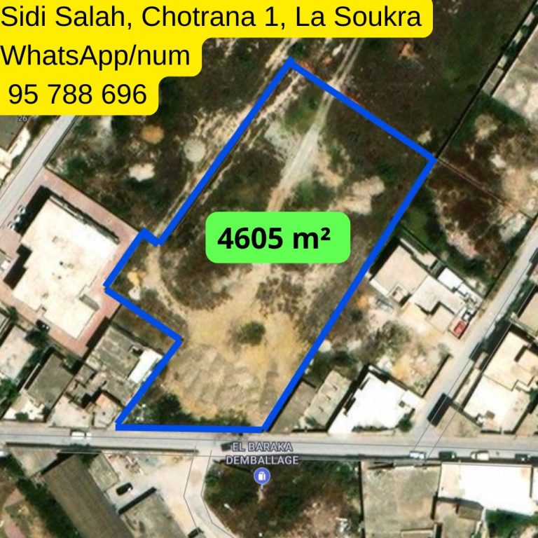 450m chotrana 1 la soukra