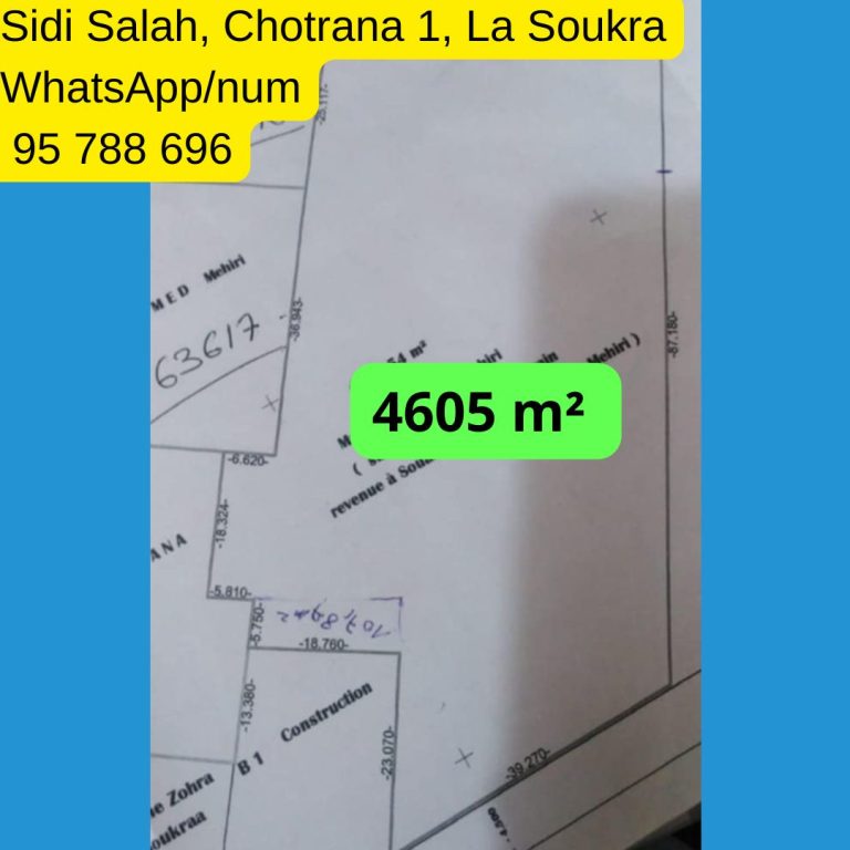 2300m nu &agrave; sidi salah chotrana 1 la soukra ariana