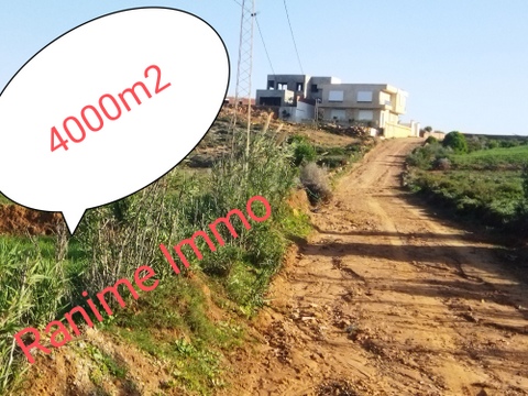 Lot de terrain de 4000m2 a la mer el haouaria