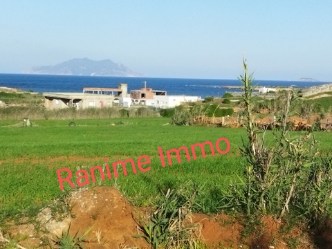 Lot de terrain de 4000m2 a la mer el haouaria