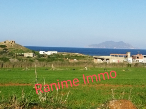 Lot de terrain de 4000m2 a la mer el haouaria