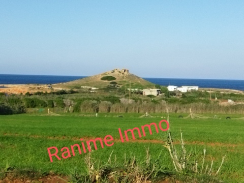 Lot de terrain de 4000m2 a la mer el haouaria