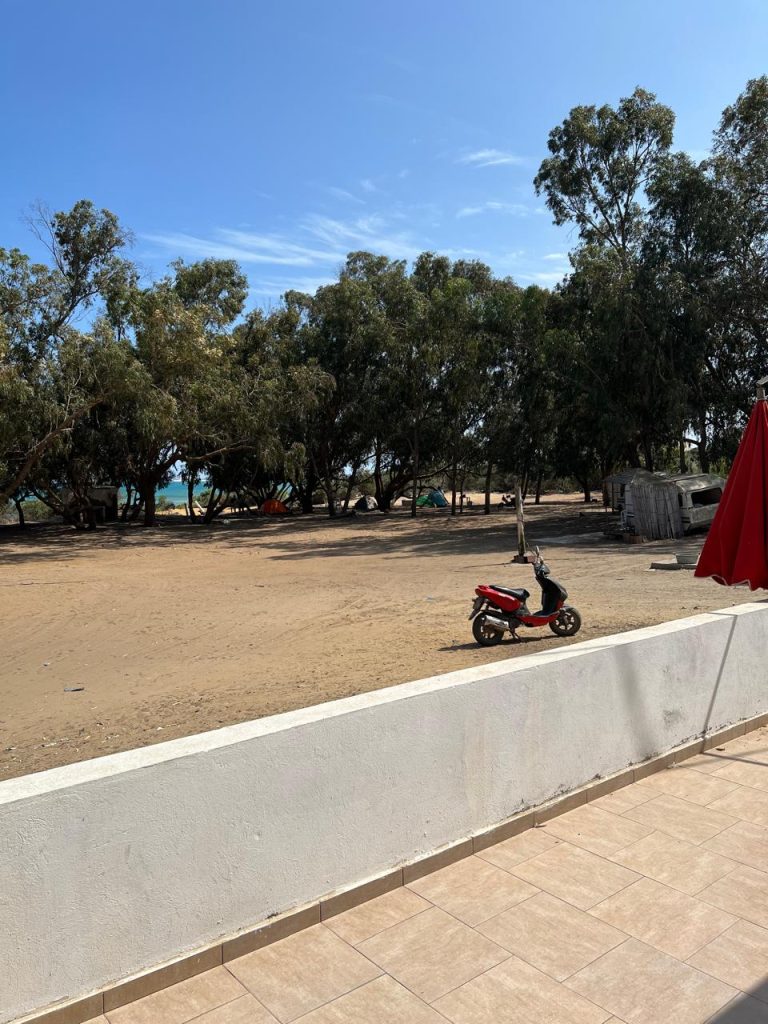 Terrain magique au cap bon de 1000 m&egrave;tre carr&eacute;