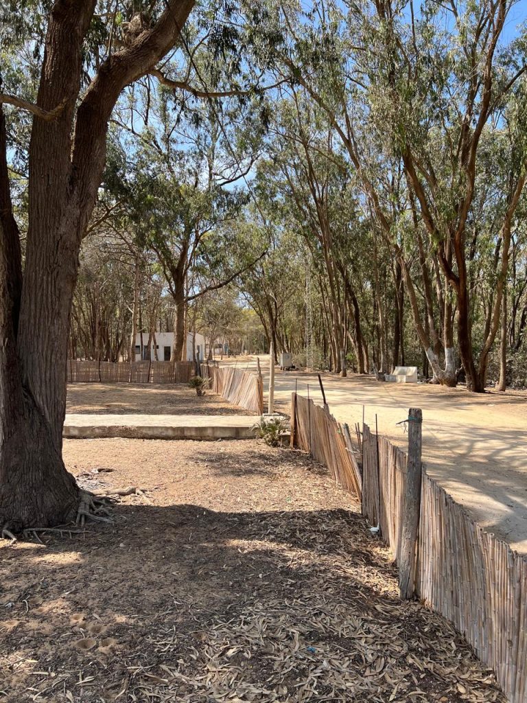 Investir au cap bon terrain agricole