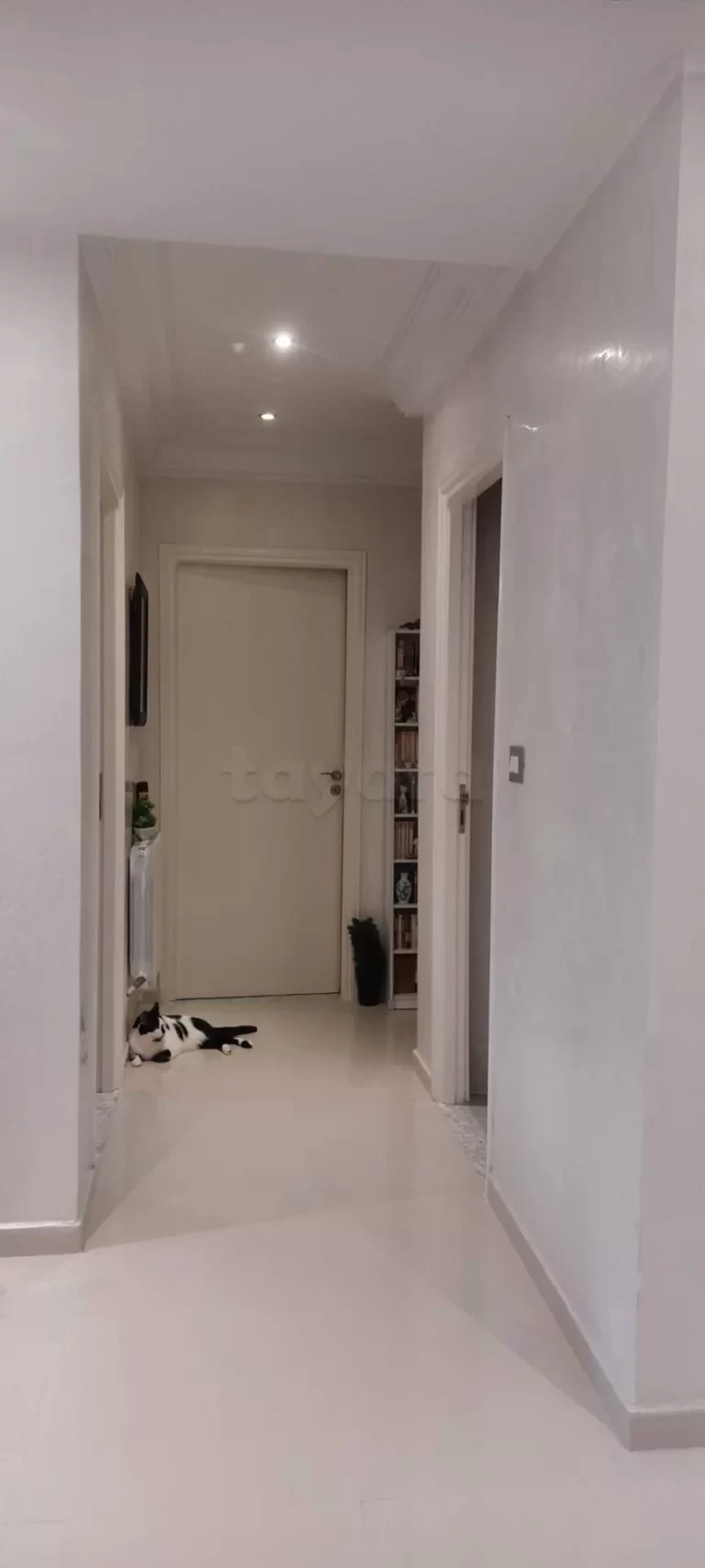 Appartement large propre