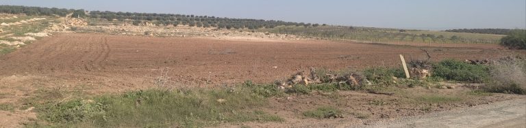 Terrain agriculture