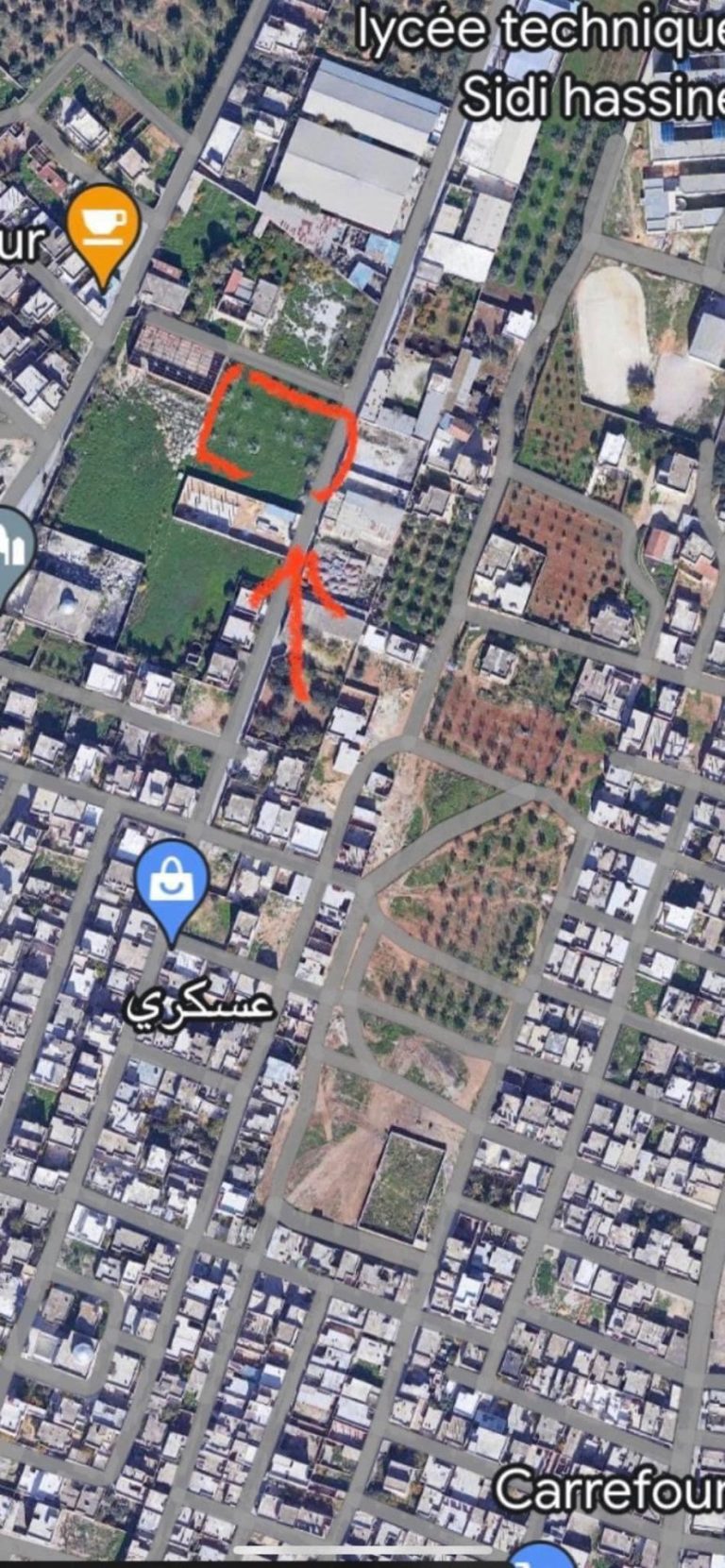 Terrain de 2000 m2 a sidi hssin sijoumi