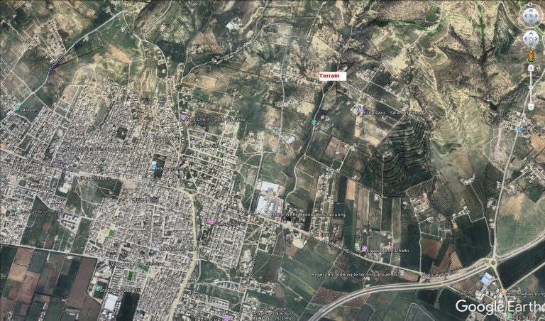 250 metre carre a oued ellil