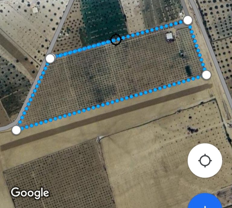 Ferme senia oliviers