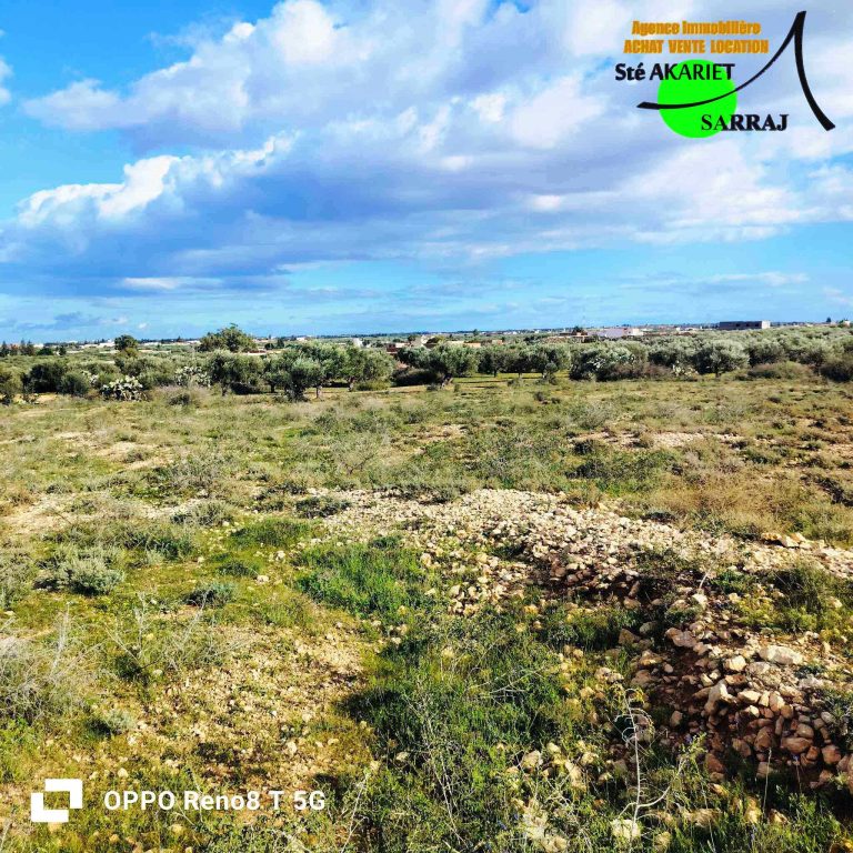 Terrain agricole 1hectare et 8000m &agrave; sidi bouali