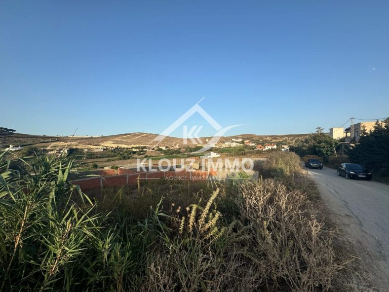 Terrain a ain berda bizerte