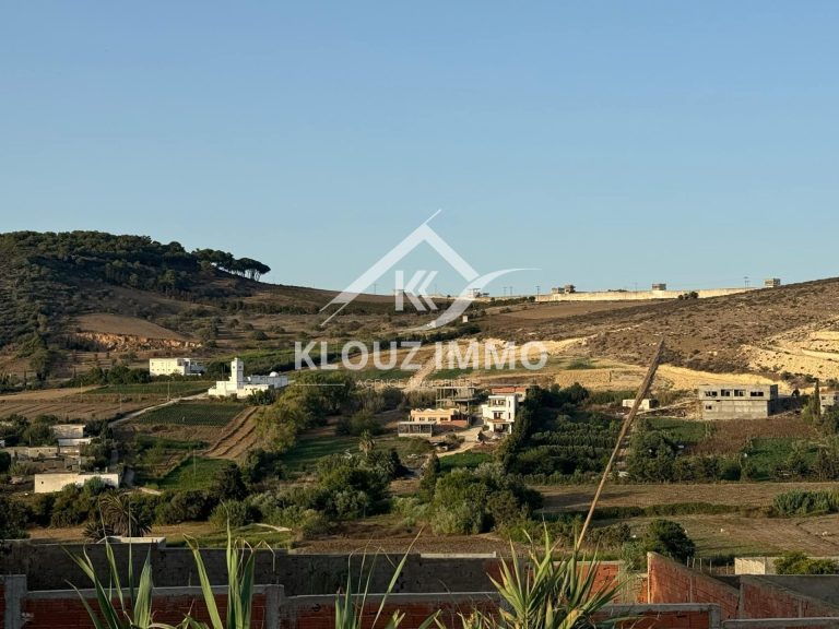 Terrain a ain berda bizerte