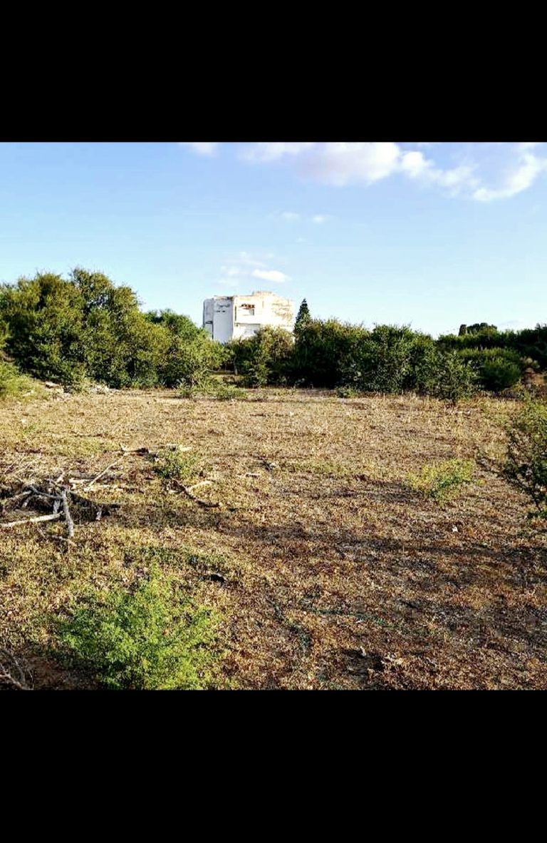 Terrain constructible de 1653m2