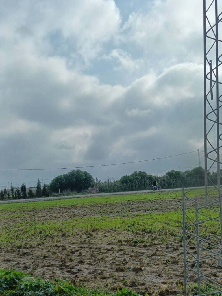 Terrain de 1600m a elhaouaria