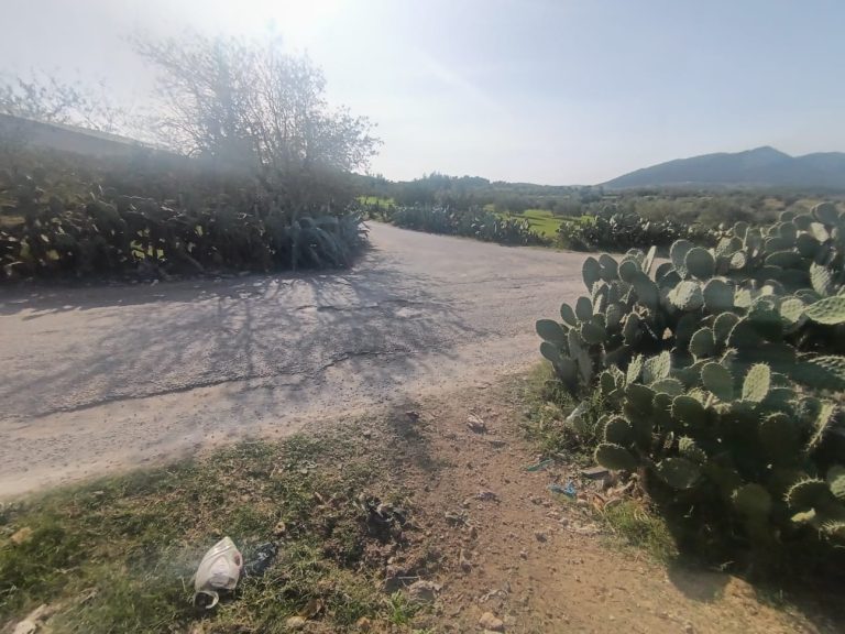 Terrain agricole fetile sur route goudronn&eacute;e