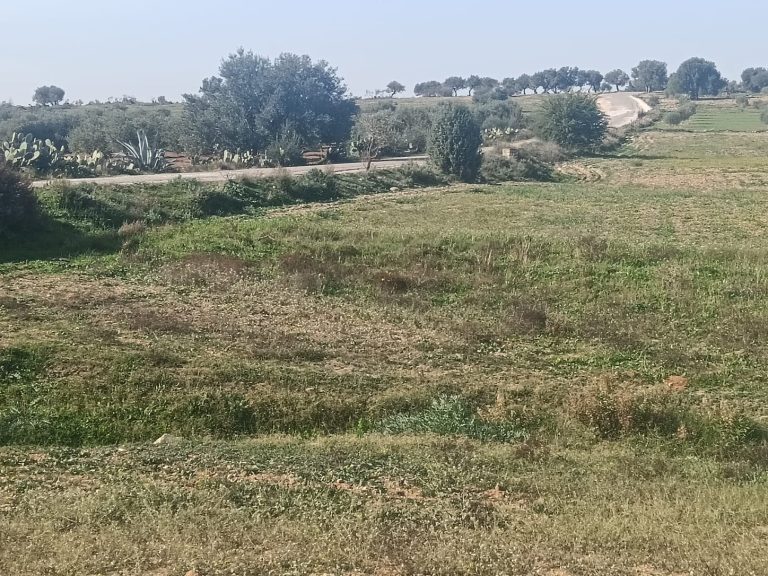 Terrain agricole fetile sur route goudronn&eacute;e