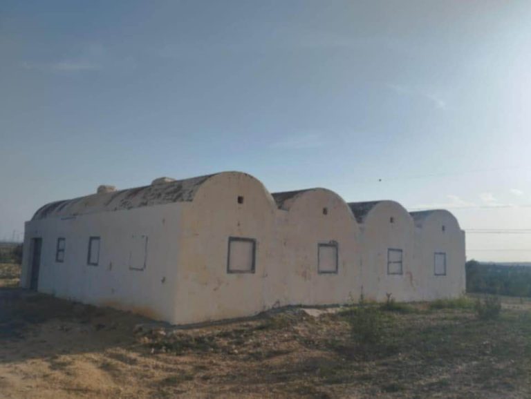 Av terrain 22800m avec oliviers &agrave; enfidha