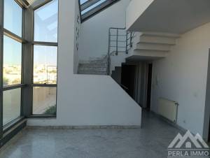 Duplex s3 ennaser ref143a