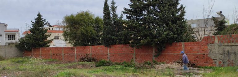 Terrain constructible