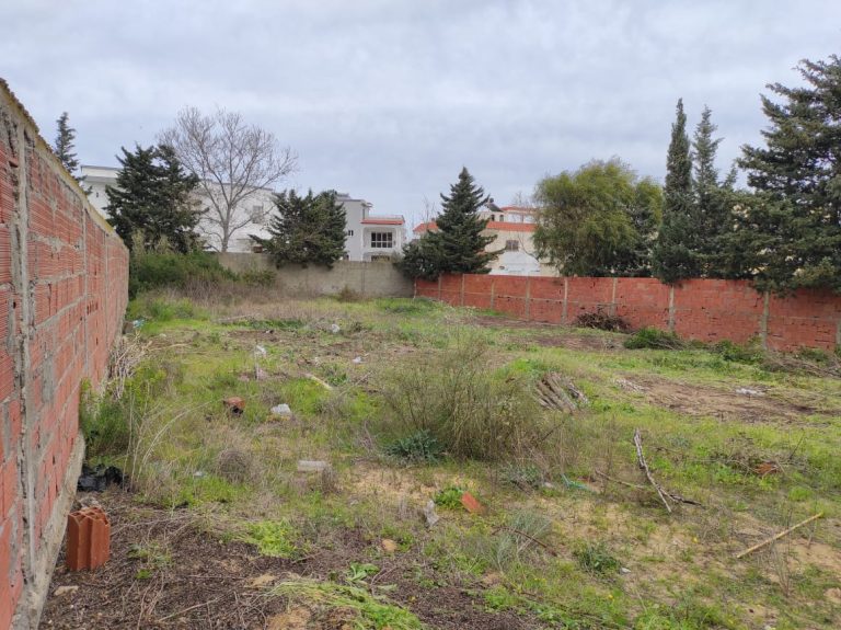 Terrain constructible