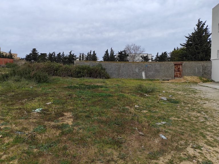 Terrain constructible