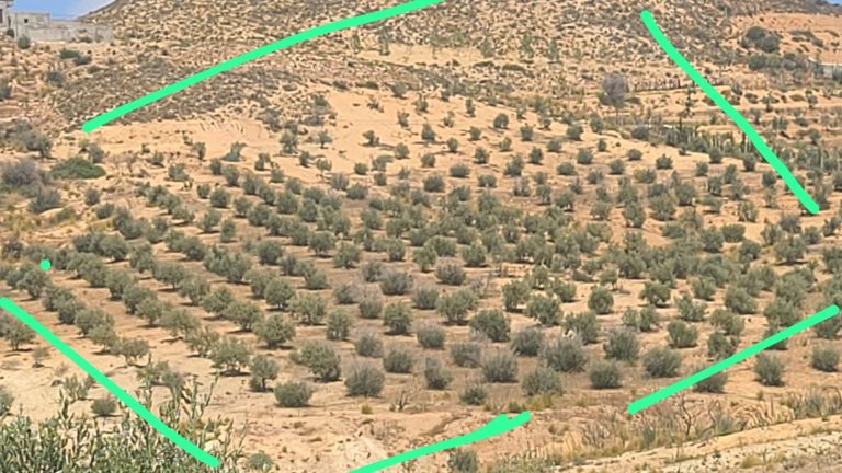 Terrain en indivision de 10 000 m