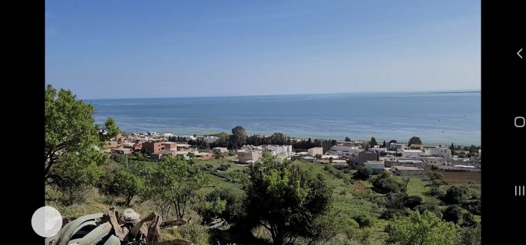 Occasion &agrave; ne pas rater