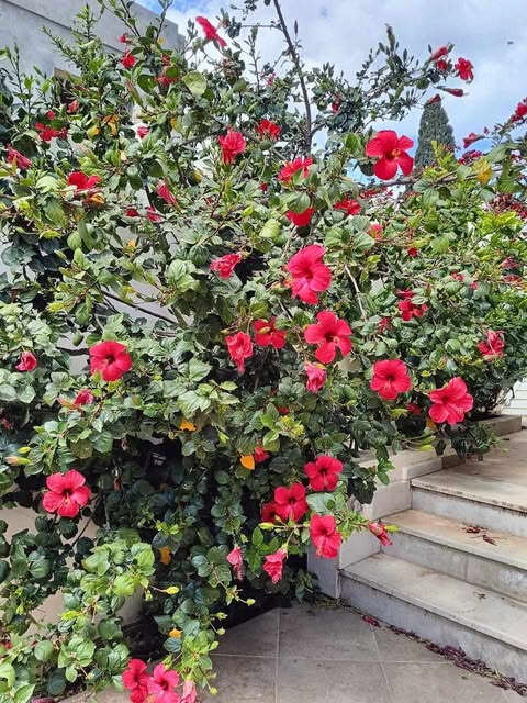 Magnifique villa a ghar el melh