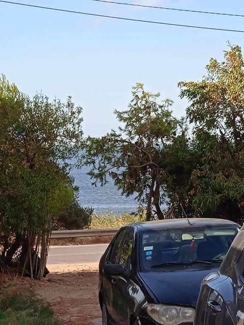 Magnifique villa a ghar el melh