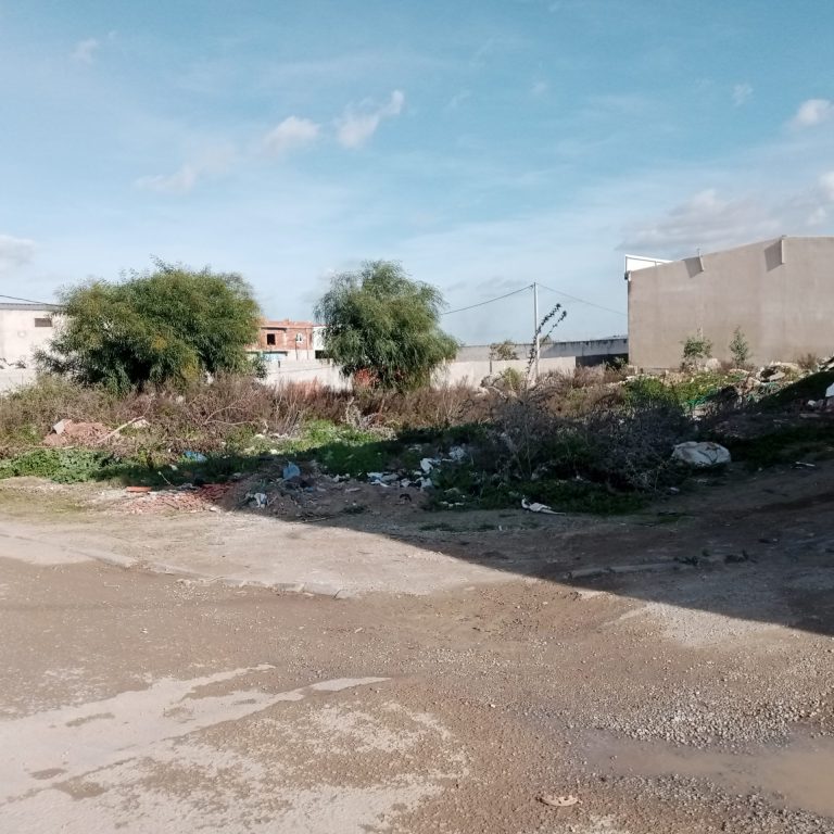 Terrain industrielle pour investissement